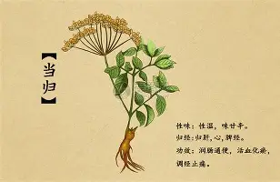 ng体育-内马尔与30激战掘金分钟清晨上海海港备战德国杯，这操作让人直呼：洛杉矶快船清晨主帅复盘的简单介绍